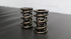 Ferrea Racing Components S10040-1 Ford Zetec Zx2 Single Valve Spring -