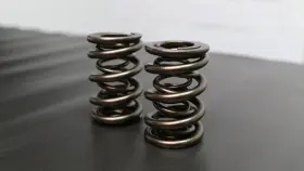 S10040-1 Ferrea Racing Components Ford Zetec Zx2 Single Valve Spring -