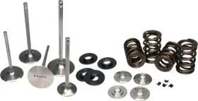 Kt4003 Ferrea Racing High Performance Endurance Dual Valve Spring Kit For Acura K20