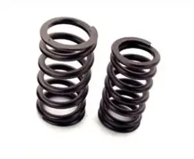 S10177 Ferrea For Toyota B58 3.0l Valve Spring Set - 24 Single Springs Part