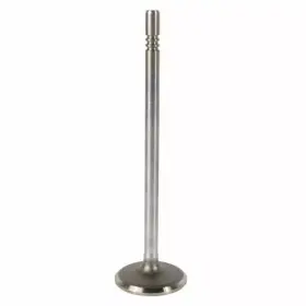4g7z-6507-aa Ford Genuine Engine Intake Valve