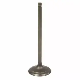 6c1z-6507-a Ford Genuine Intake Valve