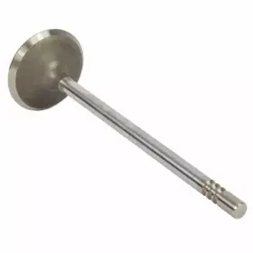 Al8z-6507-a Ford Genuine Intake Valve