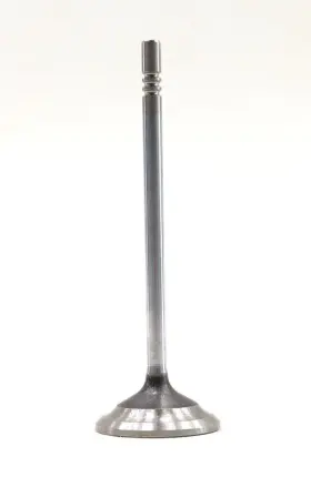 Bc3z-6505-b Ford New Oem Engine Exhaust Valve F-450 F-550 6.8l 2011-2019