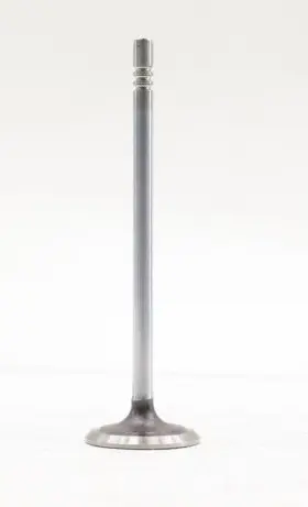 Bc3z-6507-b Ford New Oem Engine Intake Valve F-450 F-550 6.8l 2011-2019