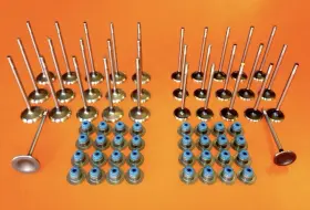 Br3z-6507-a Ford 2011-17 Fits F150 Mustang Gt 5.0 Coyote Intake Exhaust Valves Valve Seals