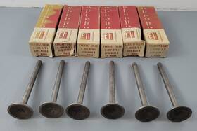 Ford C1te-6505-b 6 New Nos 1964 262 Intake Valves .003 Fomoco
