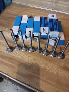 C3oz-6505-a Ford C3oz6505a 289 Exhaust Valve Std Nos Set Of 8