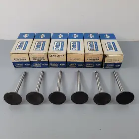C5az-6507-a Ford 6 New Nos 1965-1974 240 Cyl. Intake Valves Truck Passenger