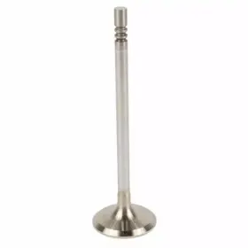 Cr3z-6505-a Ford Genuine Valves