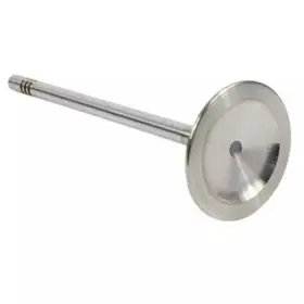 Cr3z-6507-a Ford Genuine Valves