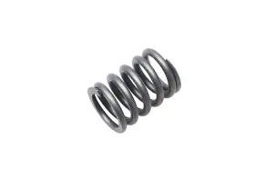 D5oz-6513-a Ford New Oem Exhaust Valve Spring Nos