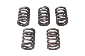E7dz-6513-a Ford New Oem Engine Valve Springs Qty 5 Nos