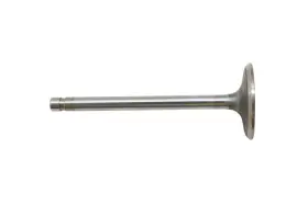 E7tz-6507-g Ford New Oem Engine Intake Valve Nos