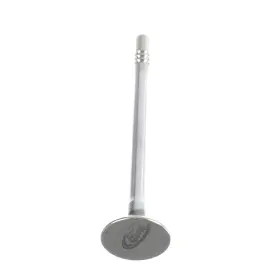 F3ly-6505-a Ford Genuine Lincoln Mercury 4.6l 5.4l Engine Exhaust Valve