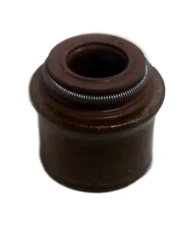 F4sz-6571-b Ford 6 Pack 3.8l Oem Engine Intake Valve Stem Seals