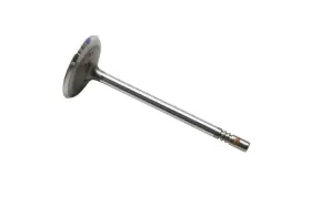 F5az-6507-a Ford New Oem Engine Intake Valve Nos