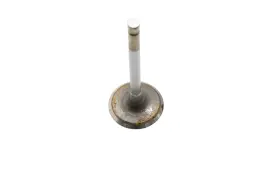 F77z-6507-aa Ford New Oem Engine Intake Valve Nos