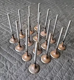 Fr3z-6505-a Ford 2015-2017 Mustang F150 Coyote 5.0 Gen2 Engine Exhaust Valves 16