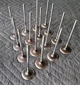Fr3z-6507-a Ford 2015-2017 Mustang F150 Coyote 5.0 Gen2 Engine Intake Valves 16