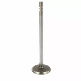 Hc4z-6507-a Ford Genuine Engine Intake Valve