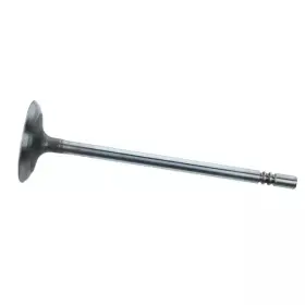 Hl3z-6507-c Ford Genuine Intake Valve