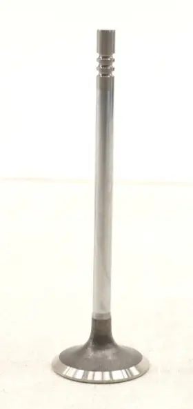 Jl3z-6505-a Ford New Oem Engine Exhaust Valve F-150 Mustang 5.0l 2018-2025