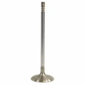Kl3z-6507-a Ford Genuine Intake Valve