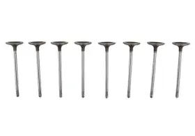 M-6507-m52 Ford - Intake Valve Lightweight 8pk 5.2l Coyote