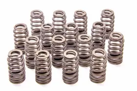 M-6513-m50br Ford - Boss 302r Valve Spring Kit 2011-up 5.0l Engine