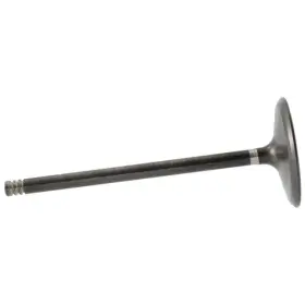 Pc3z-6507-a Ford Genuine Engine Intake Valve