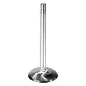 M-6507-b429 Ford Performance Compatible With/replacement For - Intake Valve