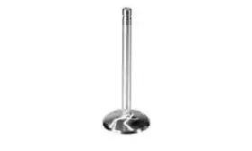 M-6507-j302 Ford Performance Intake Valve