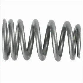 M-6513-1219x Ford Performance Parts Fits For M 6513 1219x Pac Valve Spring