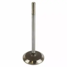 Xl3z-6507-ba Ford Genuine Engine Intake Valve