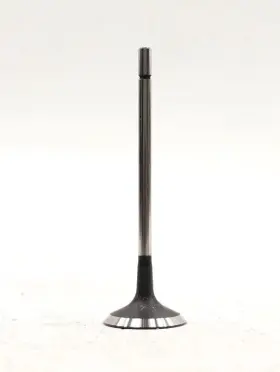 Xw4z-6505-aa Ford New Oem Engine Exhaust Valve Thunderbird Ls 3.9l 2000-2006