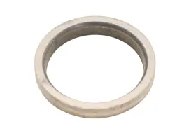 Yr2z-6057-ba Ford New Oem Exhaust Valve Seat Insert Nos