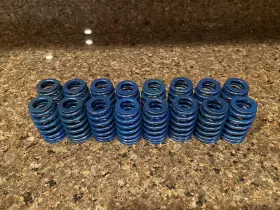 12499224 General Motors Chevrolet Performance #12499224 Ls1 Ls3 Ls6 Blue Gm Valve Springs Set Of 16
