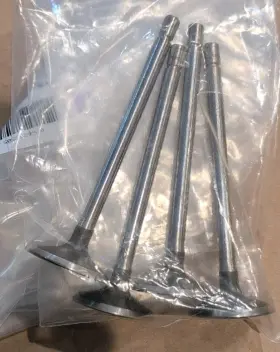 12584760 General Motors Nos Gm Exhaust Valve Genuine Part Brand New Qty 4 Rc