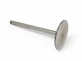 12650770 General Motors Gen V Lt4 Corvette Camaro Cts-v Titanium Intake Valve Oem Gm