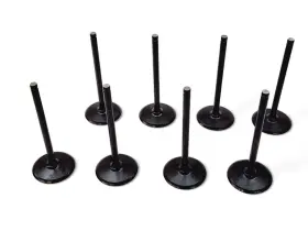 12629514 General Motors 12678746 2014-2022 Lt1 Lt4 Gen V Engine Exhaust Valve Oem Gm - Set Of 8