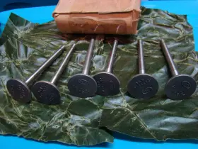 2137374 General Motors Gmc Exhaust Valve Set 6 1941 - 1952 Gm 228 236 248 256 270 Usa Nos