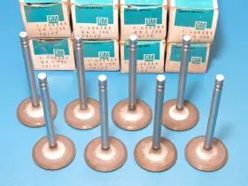 546384 General Motors Nos Set 8 Gm 1968-1969 Pontiac 400 Tempest Lemans Gto Intake Valves