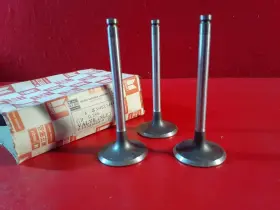 94022444 General Motors Rare Nos Gm 1972-1975 Chevy Luv Truck / Engine Intake Valves Three
