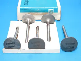 9775590 General Motors Nos 5 Gm 1964 Pontiac Tempest Lemans Bonneville Catalina Intake Valves