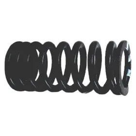 06k-109-623 Genuine Valve Spring