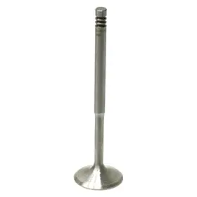 077109601q Genuine For Audi S4 2004-2009 Intake Valve