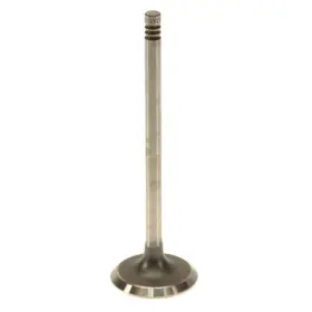 11-34-7-505-247 Genuine Intake Valve