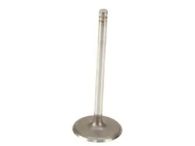 33511vfqw Genuine For 2005-2007 Gmc Savana 3500 Intake Valve 2006 4.8l V8
