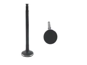 47rcfd54 Genuine Intake Valve For Freightliner Sprinter 2500 3500 2004 2005 2006